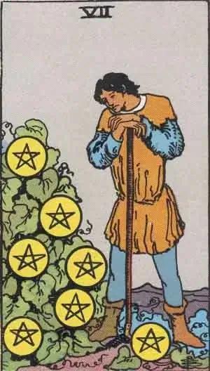 tarot card: seven of pentacles