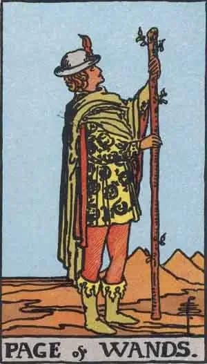 tarot card: page of wands